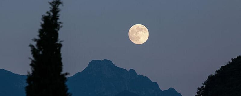 月是故乡明这篇课文的主要内容