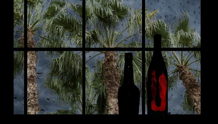 课文雷雨是按照什么顺序写的