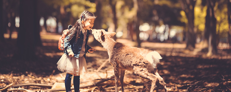 如何进行儿童思维训练 儿童思维的发展是哪三个阶段