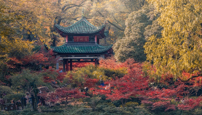 野望主旨