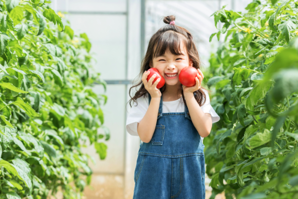 学前儿童心理发展的特点