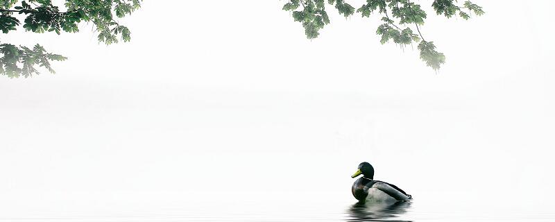 浪淘沙其三的意思
