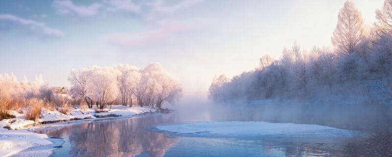 忽如一夜春风来整首诗的意思