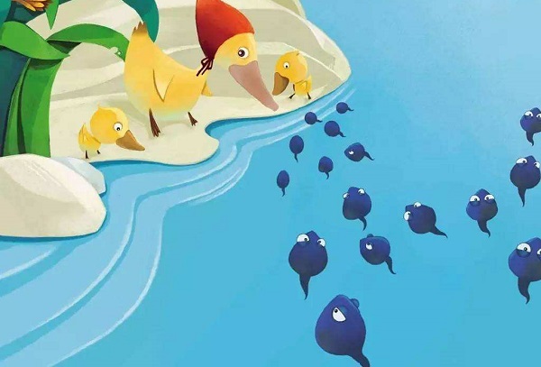 小蝌蚪找妈妈的故事