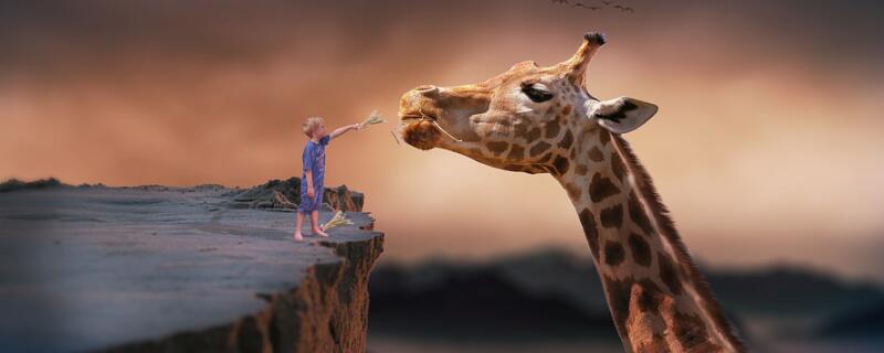 孩子喜欢探险的原因