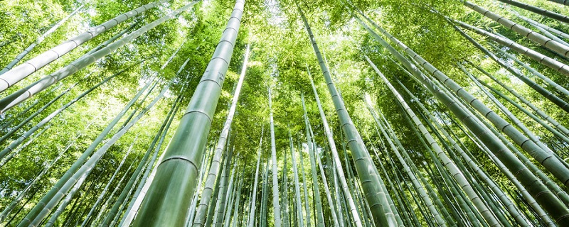 竹林七贤是指哪几位古代文人