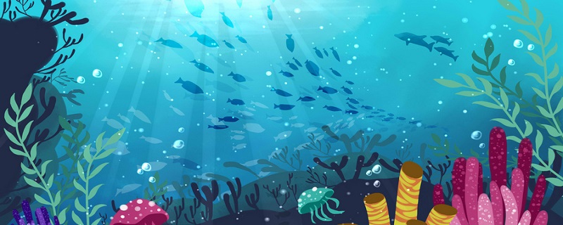 海底两万里主要内容50
