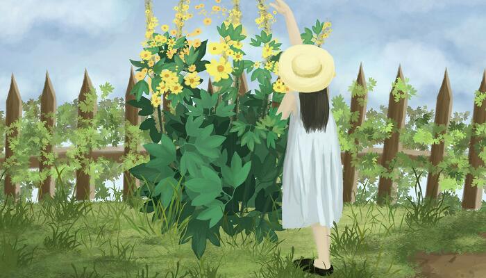 巨人的花园主要内容