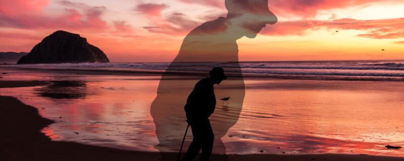 亷颇老矣尚能饭否意思  