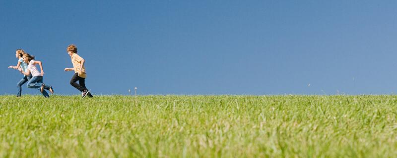 出花园四句祝福语