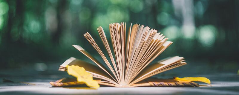 反应和反映用法区别