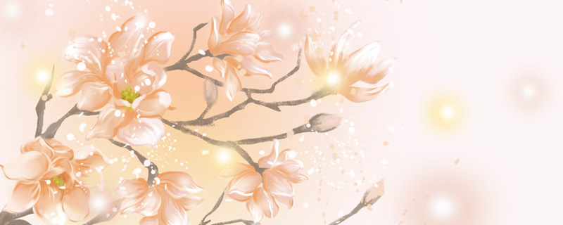 花木兰是哪个朝代的