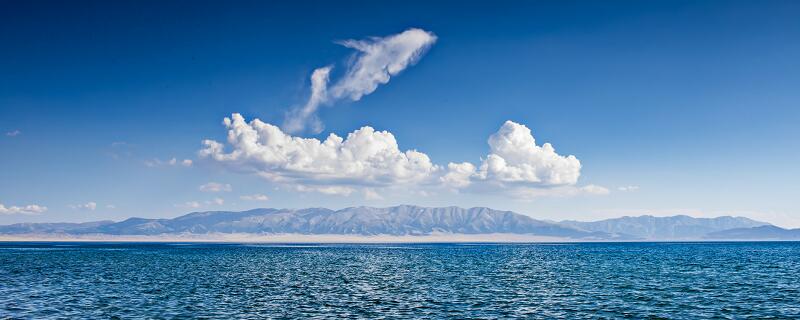 海底两万里第四章主要内容