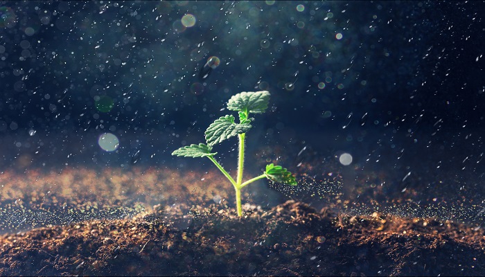 好雨知时节当春乃发生的修辞手法