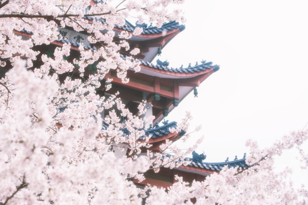 题花山寺壁古诗注音版  