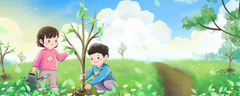 环境工程与环境科学的区别