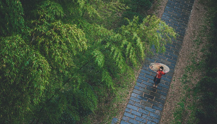 雨霖铃柳永主旨句