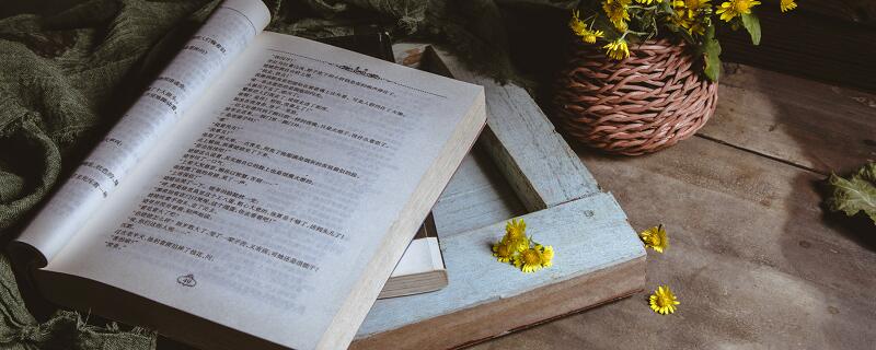 断舍离里好的句子