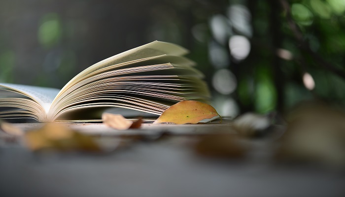 巨人的花园是一篇什么体裁