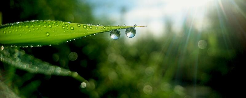 雾的形成是什么物态变化