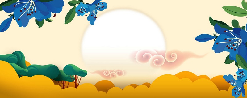 苏轼水调歌头明月几时有赏析