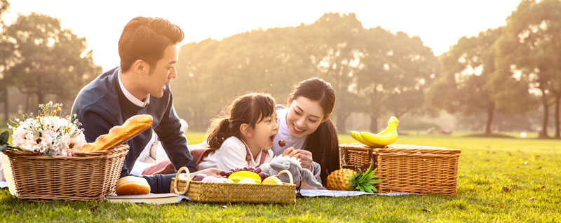 亲子教育内容有哪些