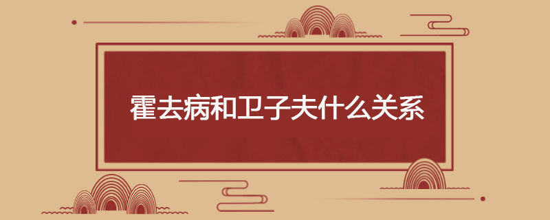 霍去病和卫子夫什么关系