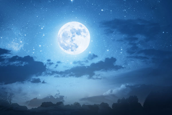 24桥明月夜的下一句