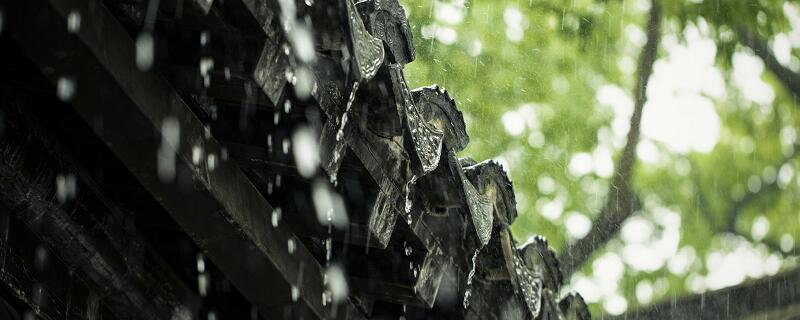 春夜喜雨的中心思想是什么