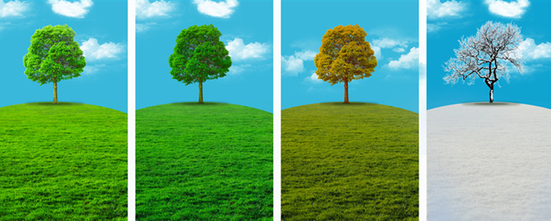 四季更替是由地球什么引起的