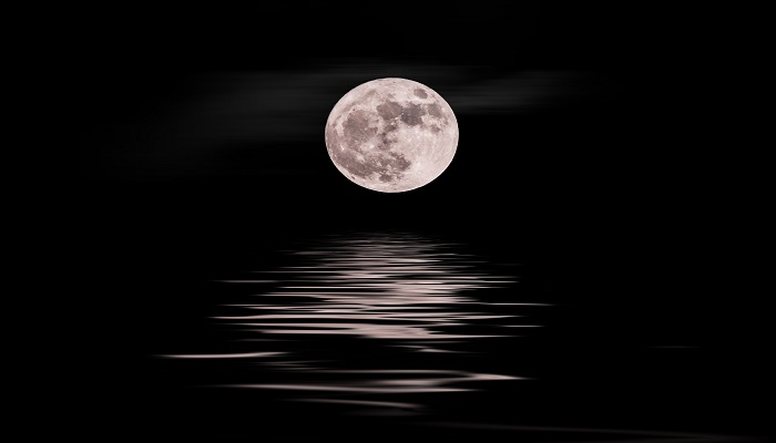 碧海青天夜夜心前面的一句是什么