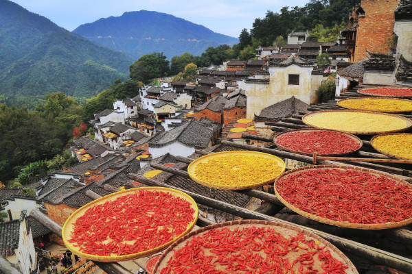 赏析山重水复疑无路柳暗花明又一村  