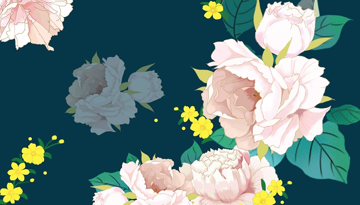 牡丹花开放的语句