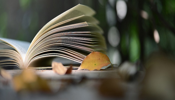 九日至微山亭诗