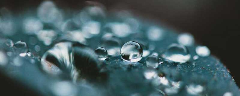 好雨知时节当春乃发生赞美了什么