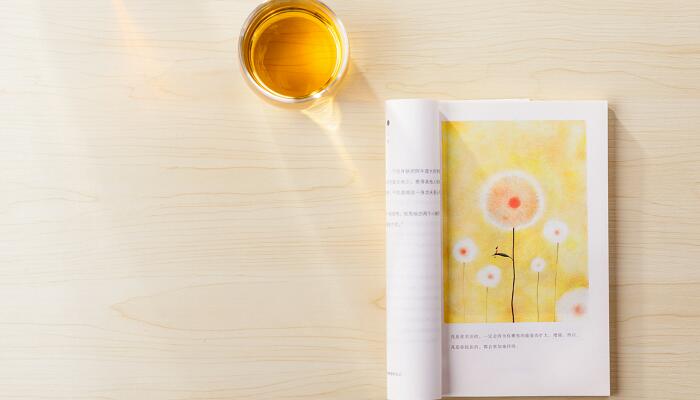 断舍离里好的句子