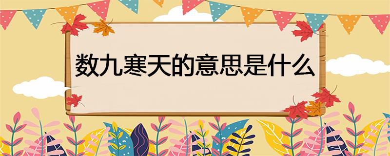 数九寒天的意思是什么