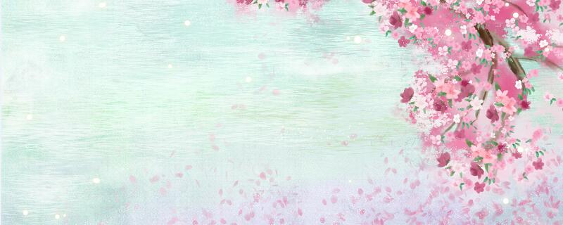 春晓描写的是春天什么时间的景色