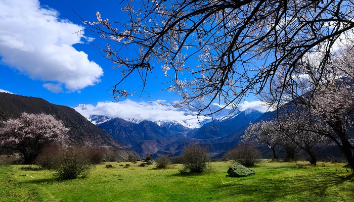 驿路梨花标题的含义和作用
