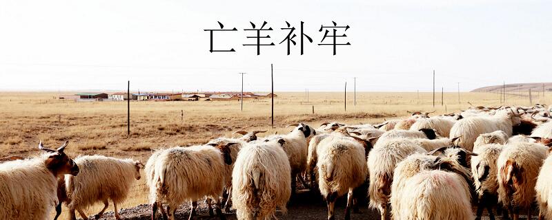 亡羊补牢的故事