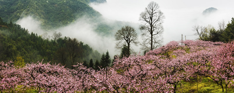 桃花溪的诗意