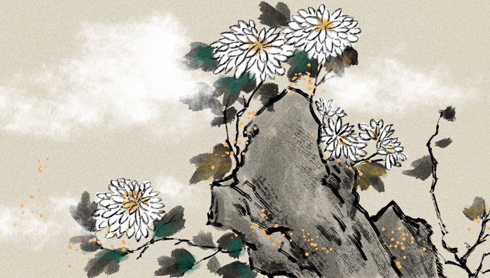 唐寅的菊花翻译