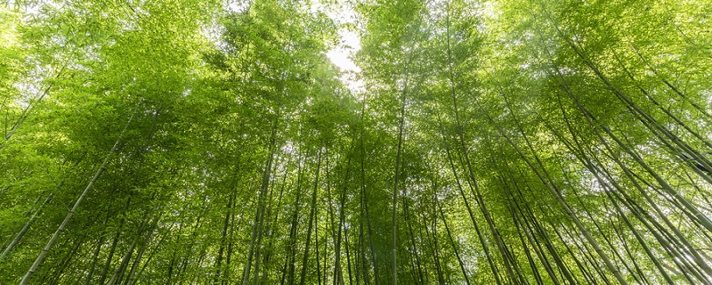 千磨万击还坚劲任尔东西南北风句意