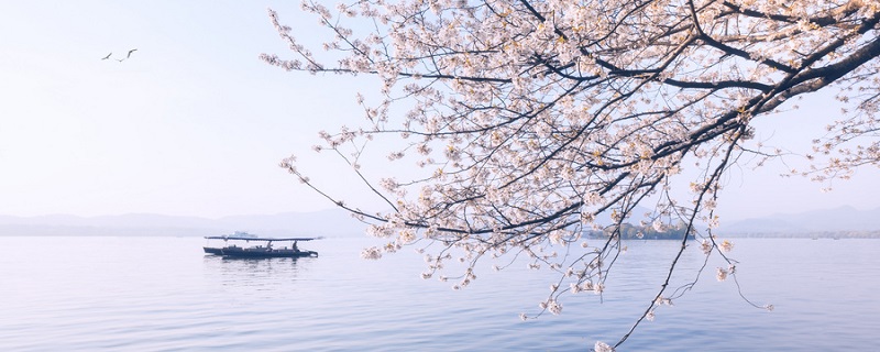 山居秋暝释义