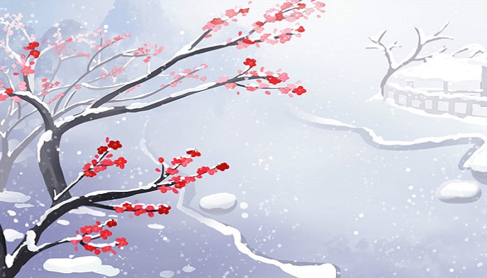 梅花古诗写出了梅花什么特点