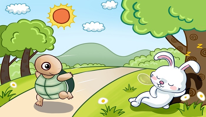 龟兔赛跑封面设计图片