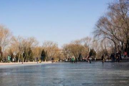 15岁女革命者救落水儿童丧命,20年后落水儿童却走上不归路 15岁女革命者救落水儿童丧命,20年后落水儿童却走上不归路