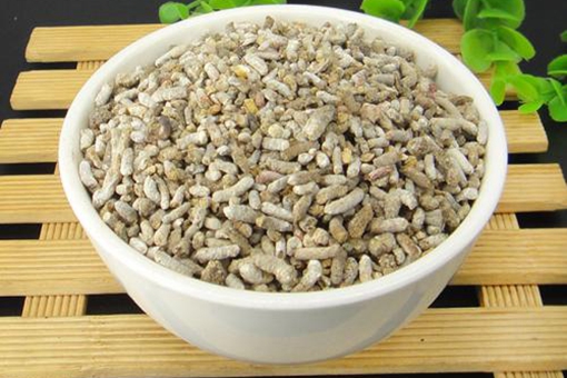 八白散中的白丁香真的是麻雀屎吗?麻雀屎真的能治病?