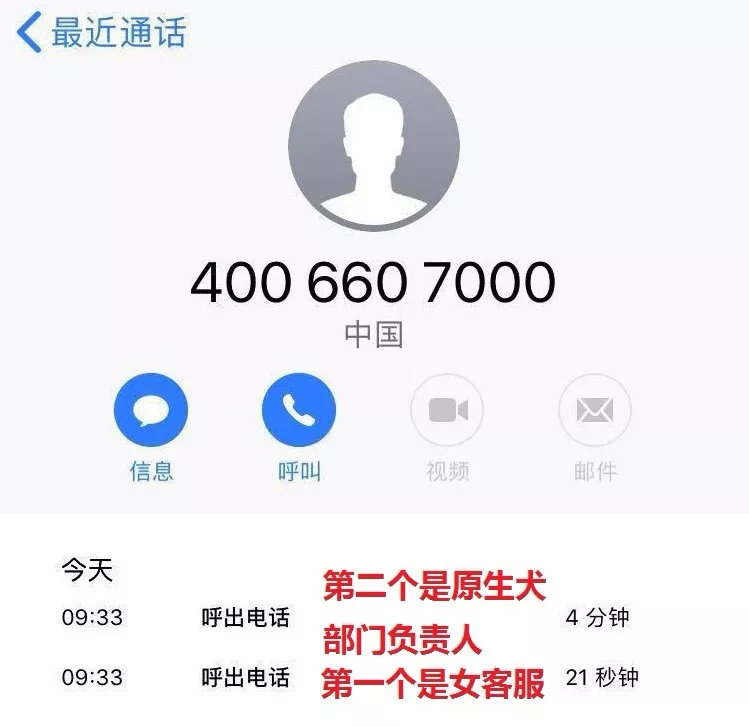 唐狗到底是什么狗?其实唐狗和中华田园犬并无关系 唐狗到底是什么狗?其实唐狗和中华田园犬并无关系