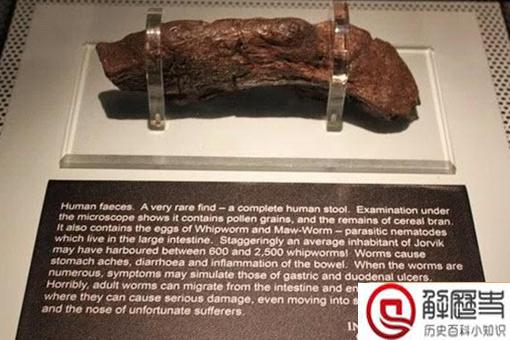 维京人的大痔疮是怎么一回事?这与一千多年前的屎化石有什么关系?